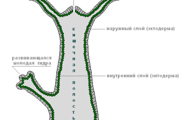 Сайт вместо гидры