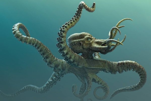 Kraken наркшоп