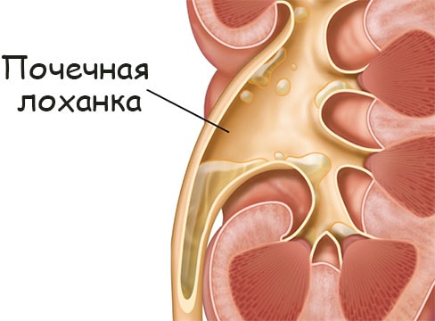 Кракен браузер ссылка